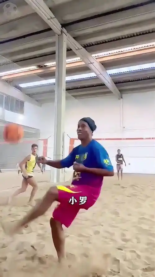 以及鹈鹕接